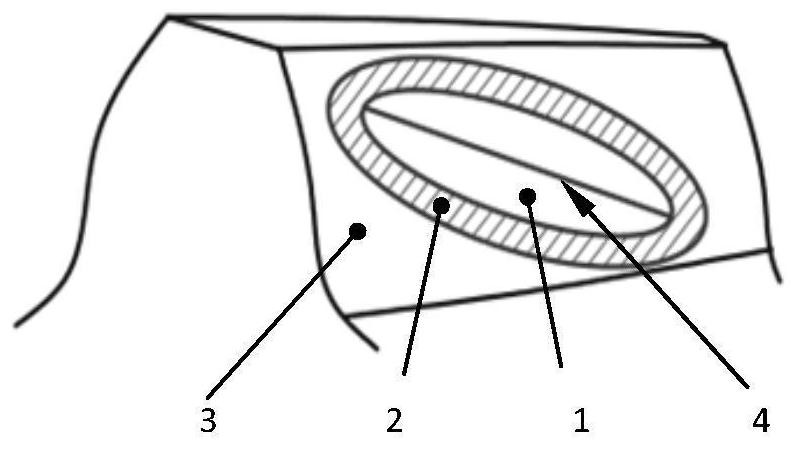 A kind of compound shot-peening strengthening method for gear division and spiral bevel gear