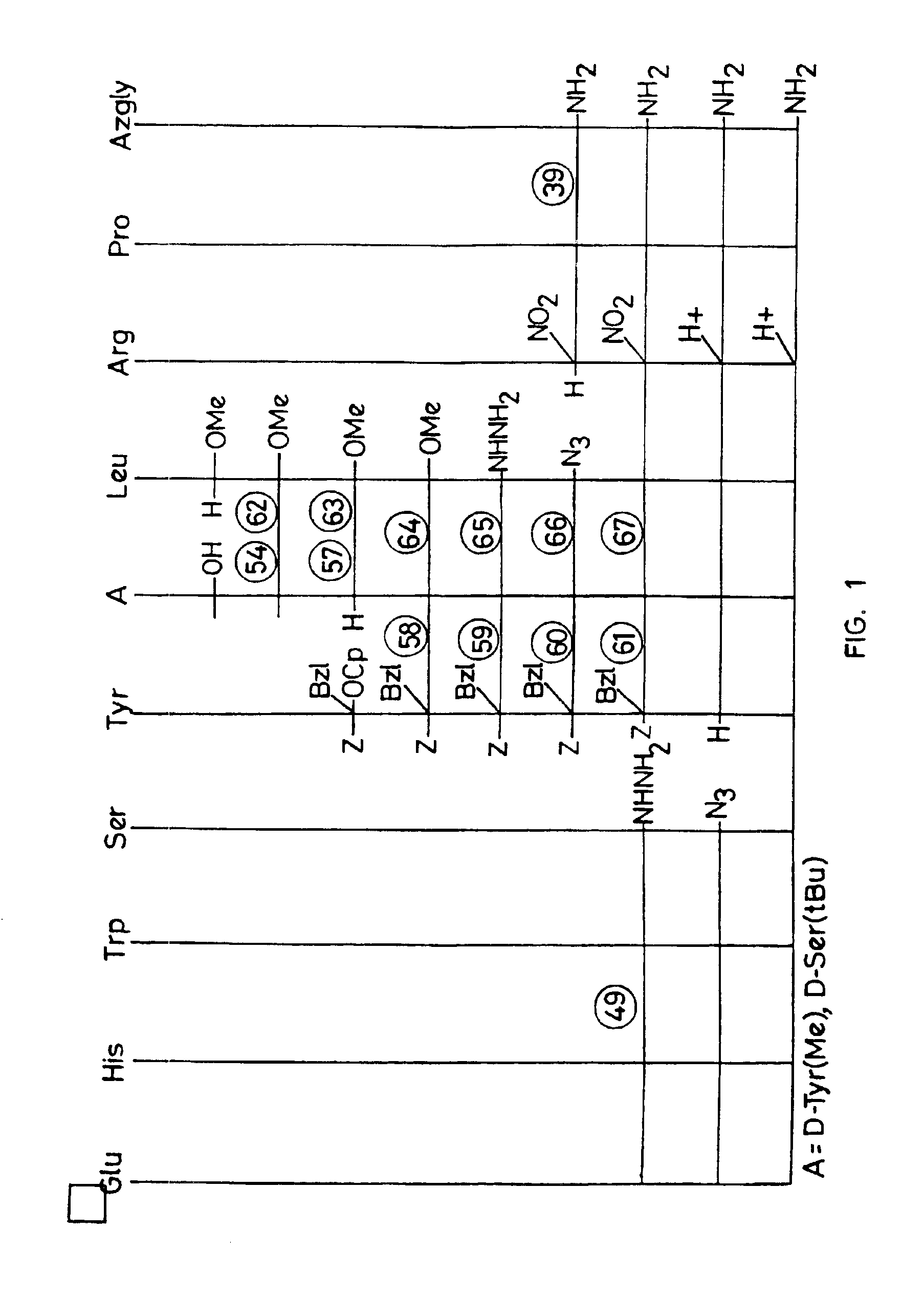 Peptide synthesis procedure in solid phase