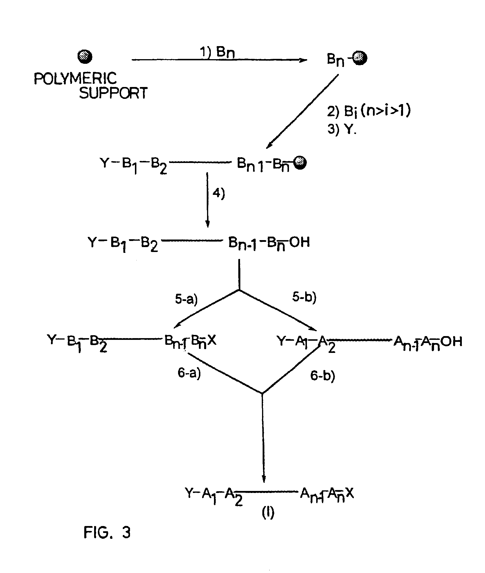 Peptide synthesis procedure in solid phase