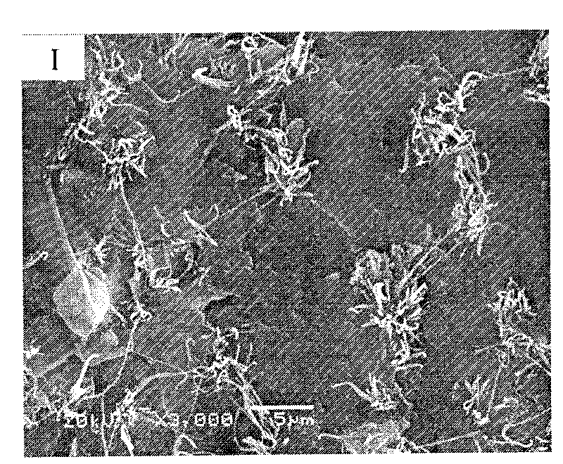 Composite material containing microelement for hard tissue repair and reconstruction and preparation method thereof