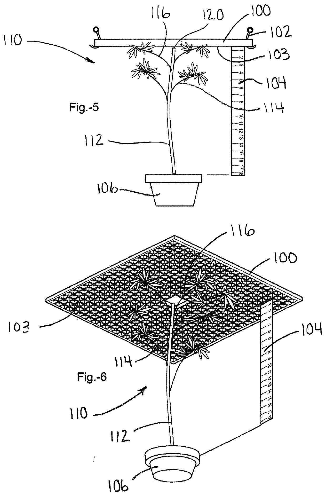 Method and Apparatus For Growing a Cannabis Plant