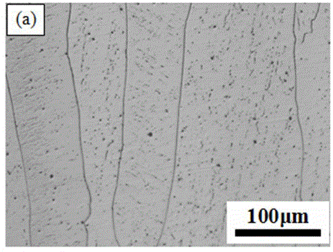 A kind of method for preparing the magnesium alloy gradient material reinforced by LPSO phase