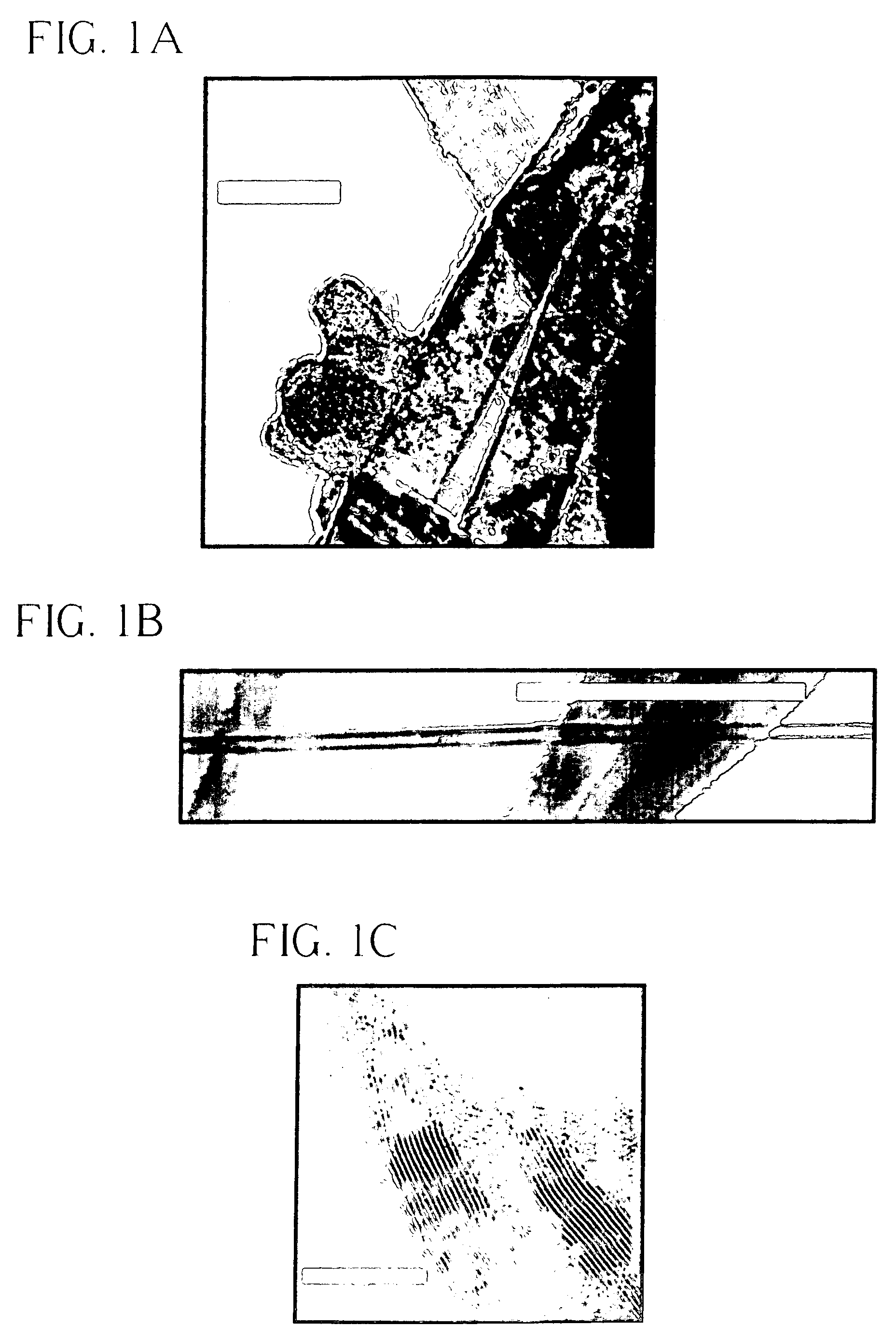 Fused carbon nanotube-nanocrystal heterostructures and methods of making the same