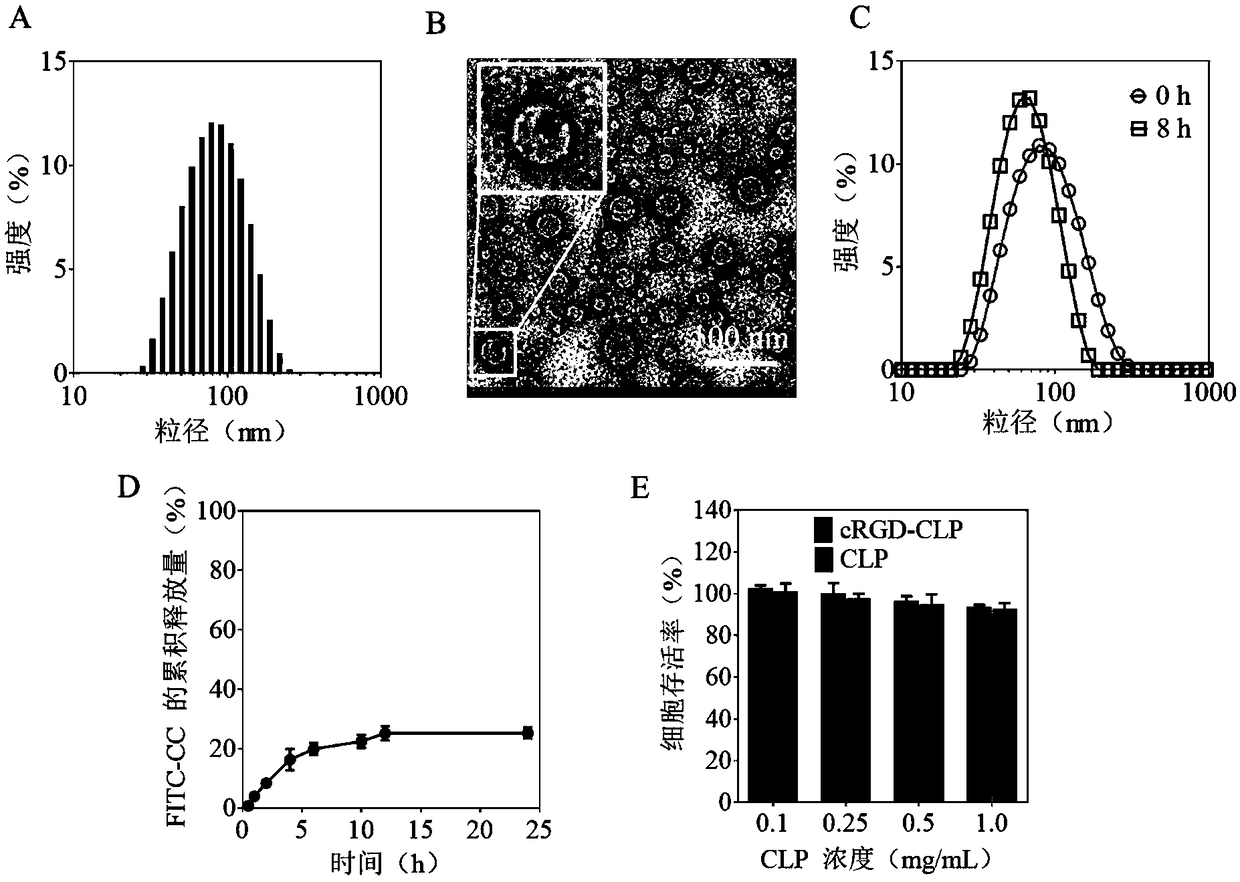 Polyester peptide vesicle with inner membrane with negative charges and preparation method and application of polyester peptide vesicle