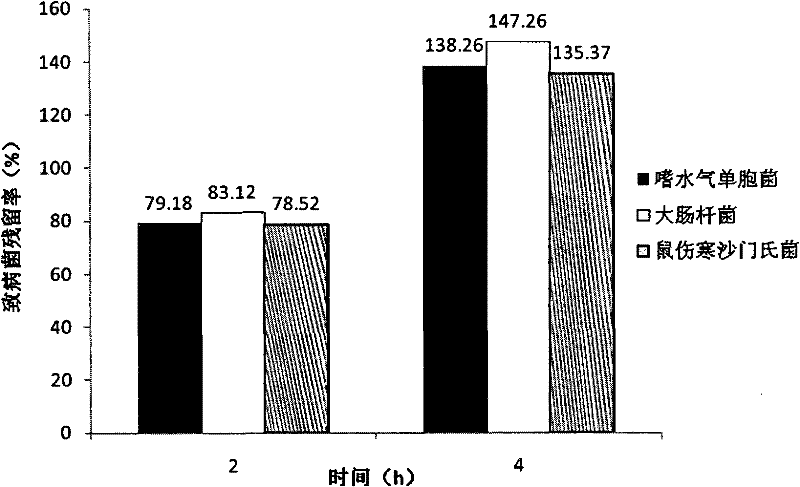 Application of bdellovibrio leech plastid in preventing and controlling bacteria in production process of raw steaks