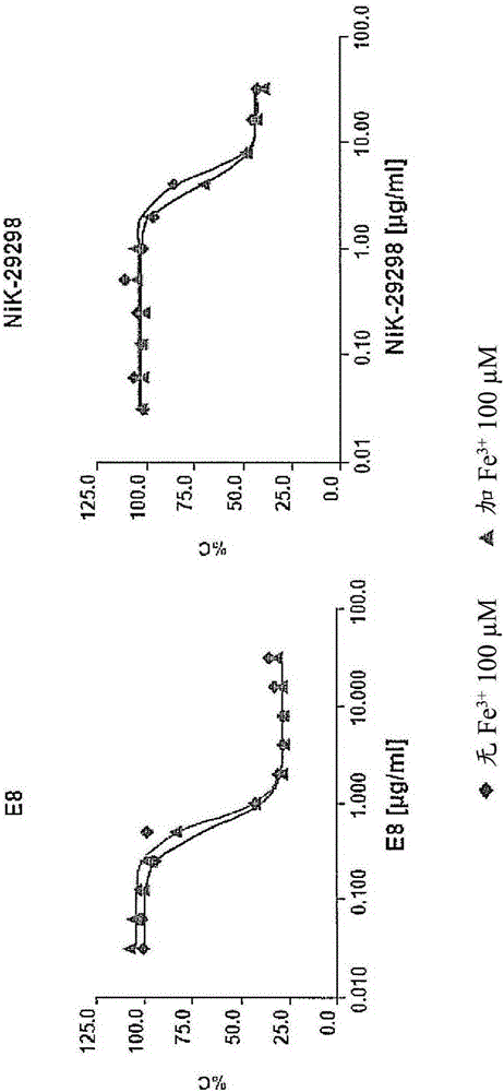 Secondary 8-hydroxyquinoline-7-carboxamide derivatives for use as antifungal agents