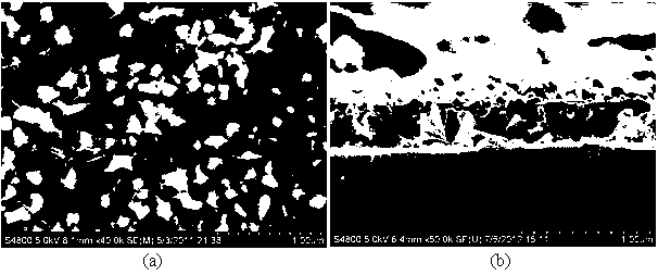 Biomedical calcium phosphate/zinc oxide nano-rod array composite coating on surface of medical metal and preparation method thereof