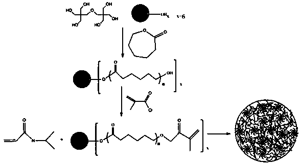 A kind of polyn-isopropylacrylamide hydrogel and its preparation method and application