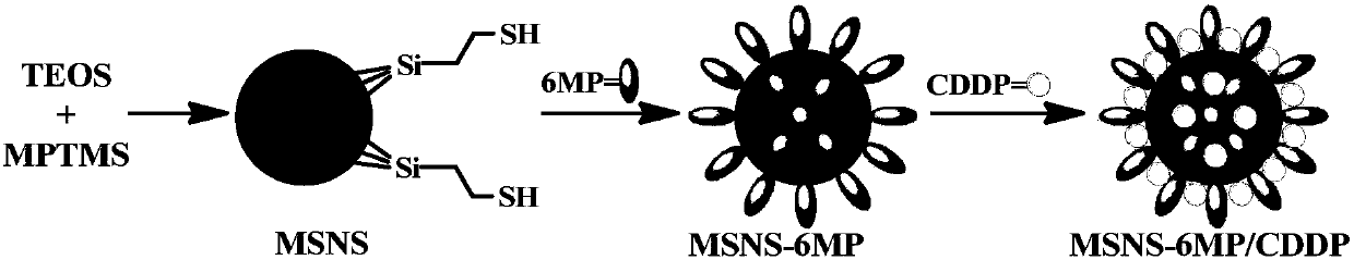 Mesoporous silicon dioxide-6-mercaptopurine-cisplatin nanoparticles as well as preparation, activity and application thereof