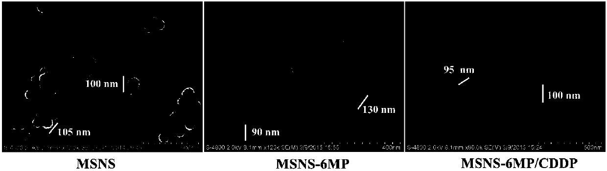 Mesoporous silicon dioxide-6-mercaptopurine-cisplatin nanoparticles as well as preparation, activity and application thereof