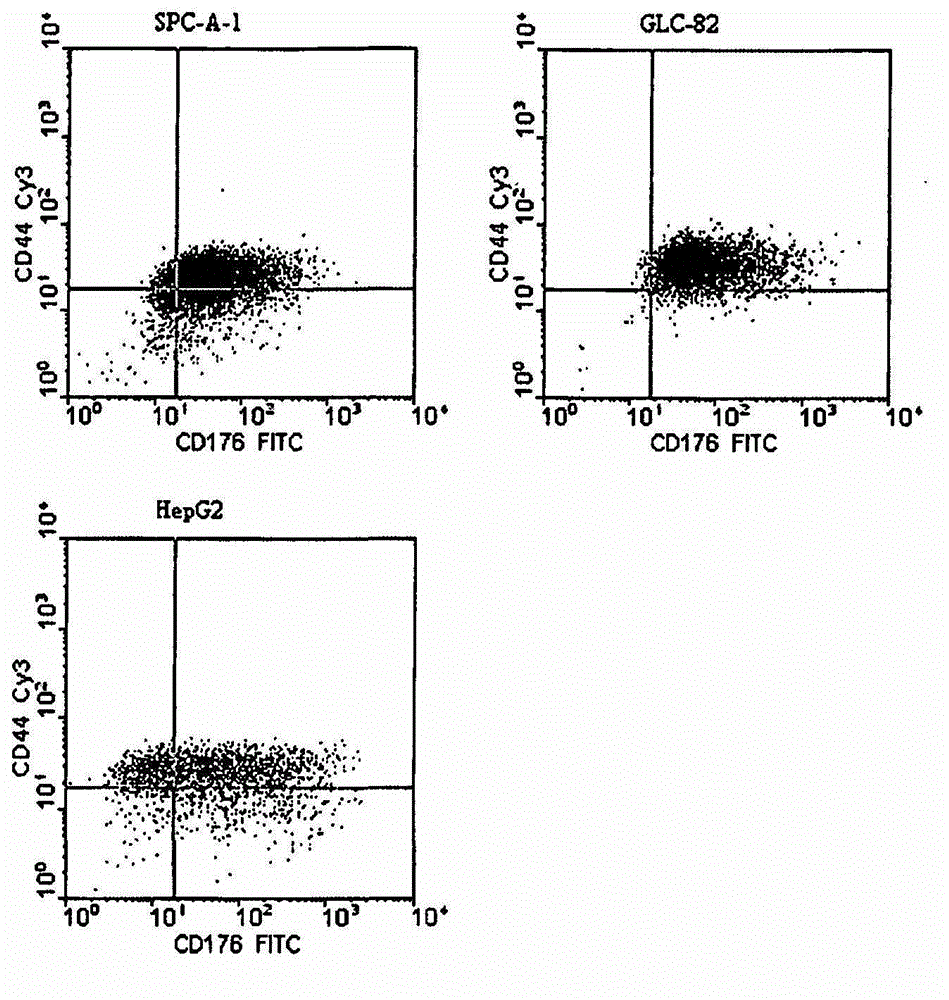 Cancer stem cell markers and uses thereof