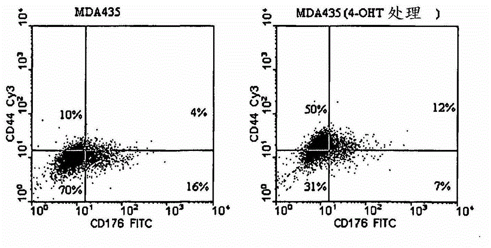 Cancer stem cell markers and uses thereof