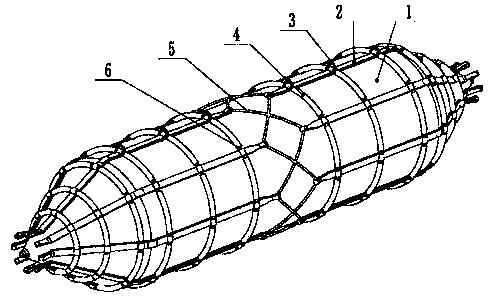 Net cover structure of engineering air bag