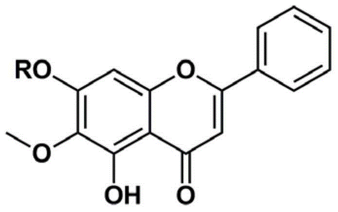 Application of oroxylin A and pro-drug thereof as catechol-type medicine synergist