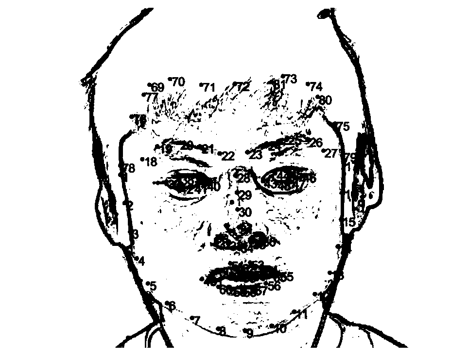 Optical flow gradient amplitude characteristic-based subtle facial expression detection method