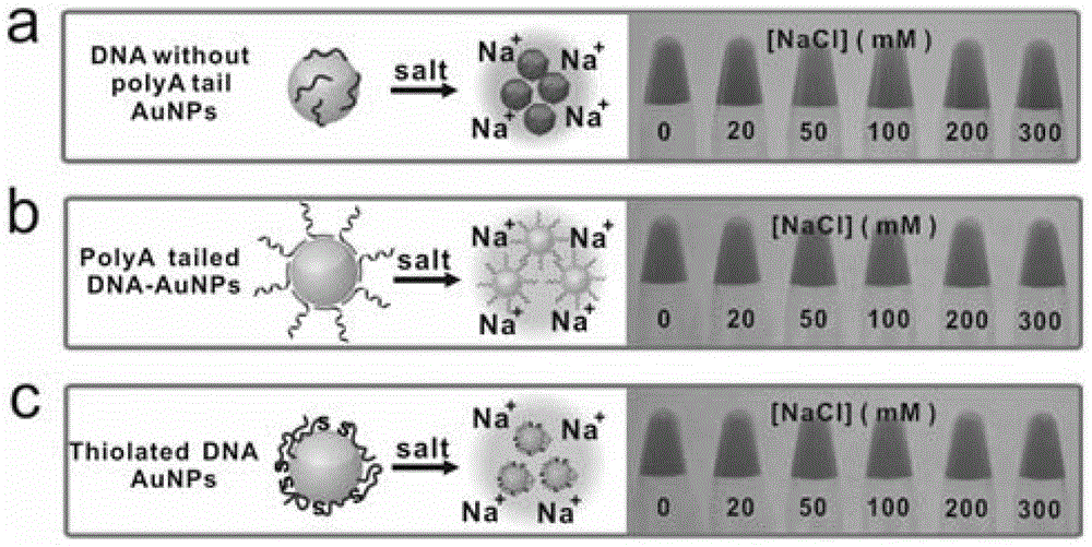 A kind of nano-gold composite and its preparation and application