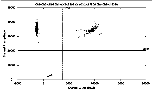 EB virus detection kit based on droplet digital pcr