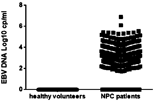 EB virus detection kit based on droplet digital pcr