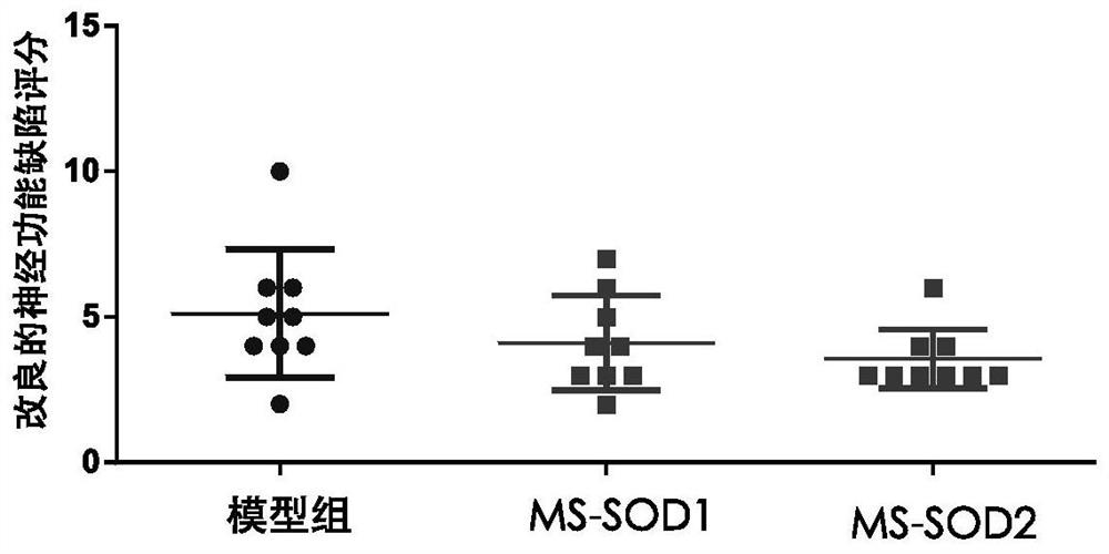 Application of manganese type high-stability superoxide dismutase in prevention or treatment of cerebral apoplexy