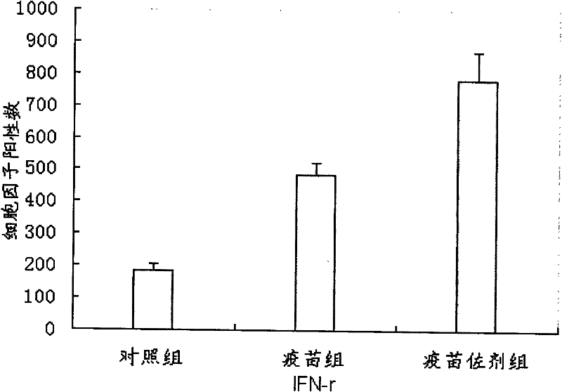 Nucleic acid vaccine adjuvant and construction method thereof