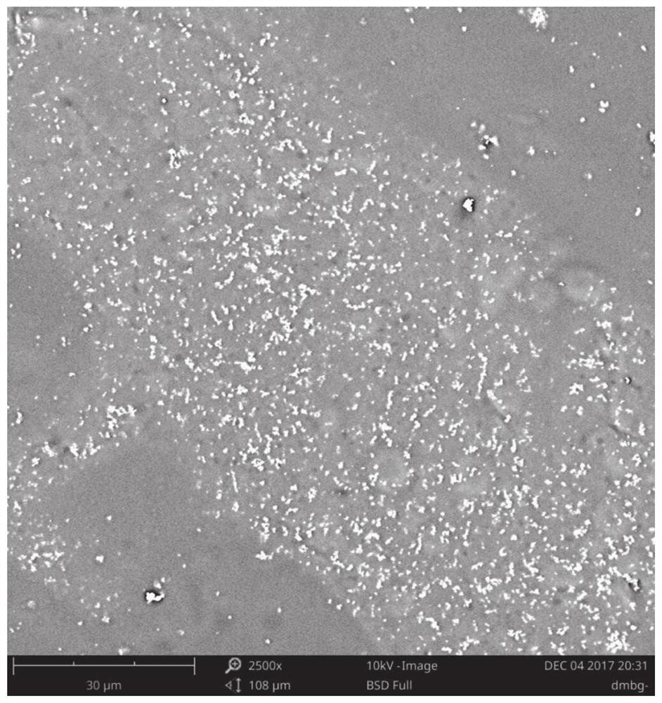 An organically encapsulated magnetic nanoparticle composite bone scaffold and its preparation method