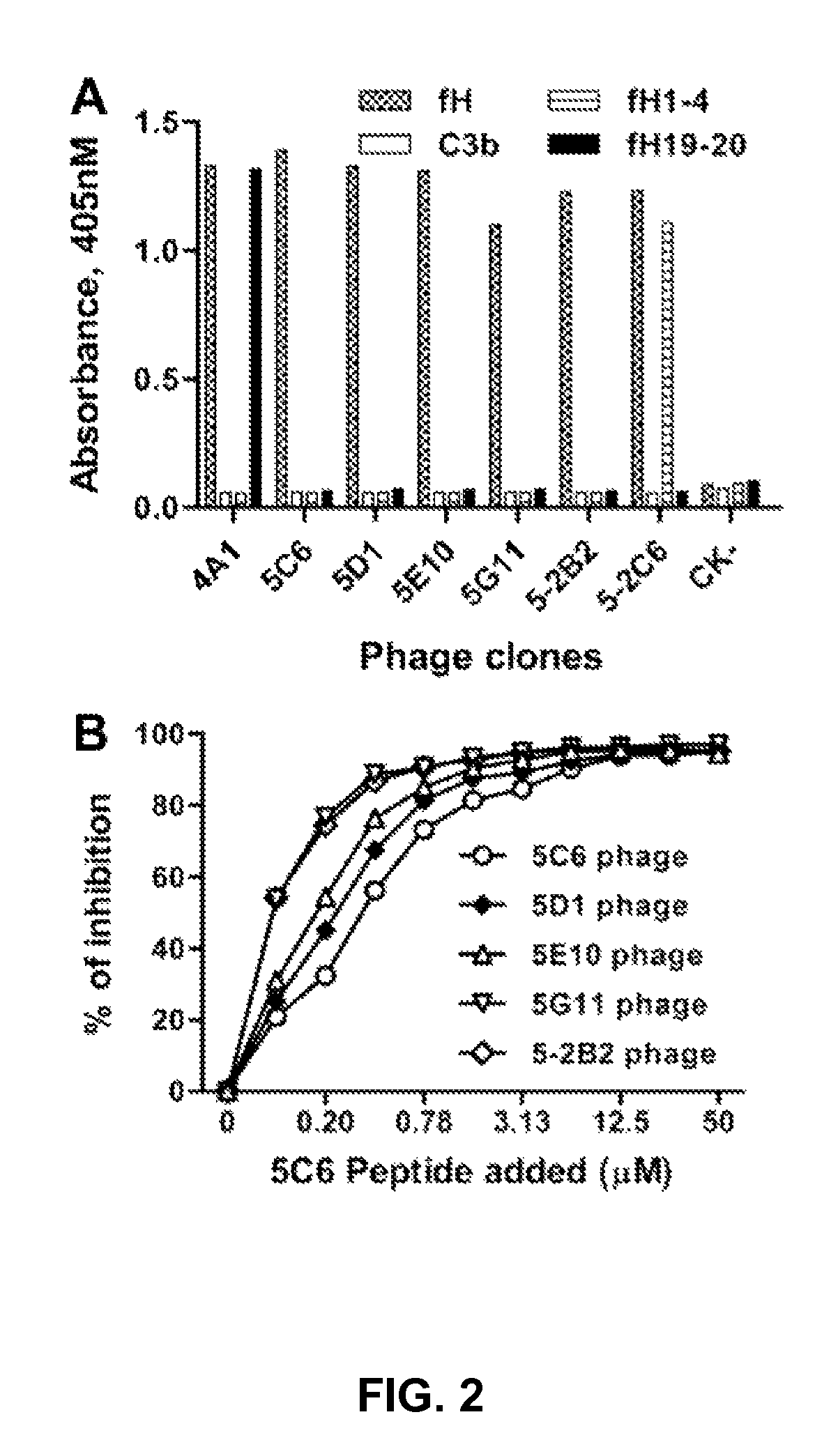 Factor H binding peptides and uses thereof