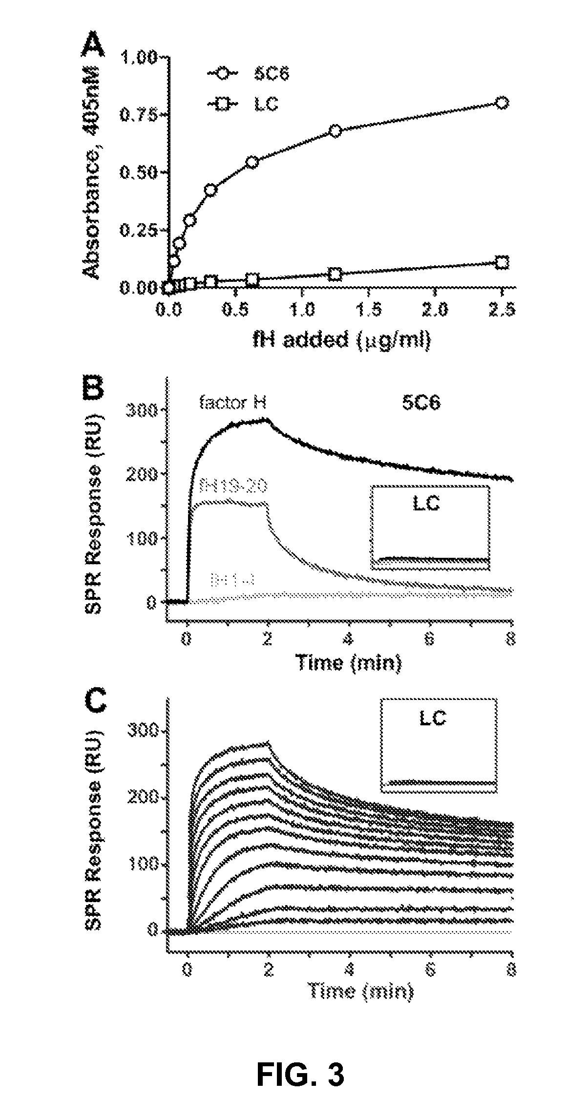 Factor H binding peptides and uses thereof