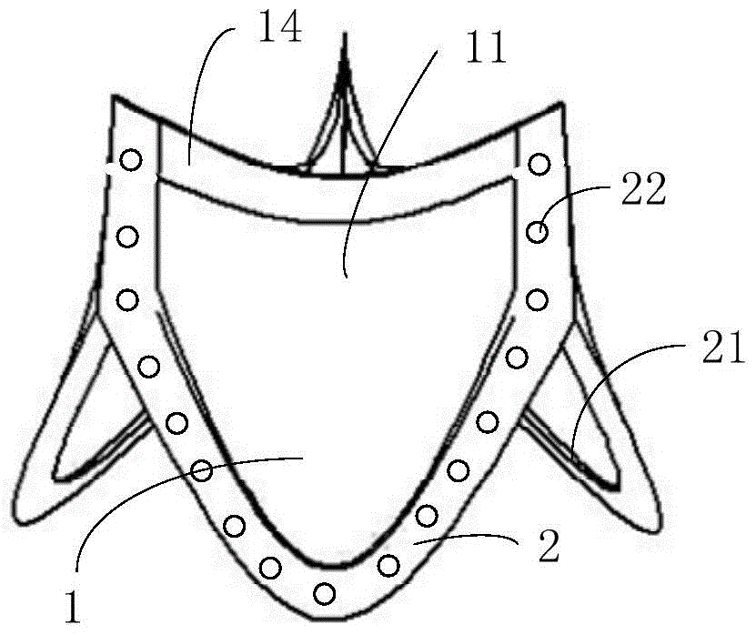 polymer prosthetic aortic valve