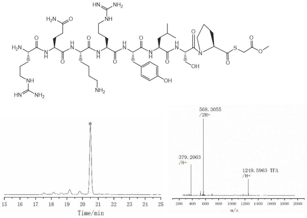 Thioester peptide synthesis method
