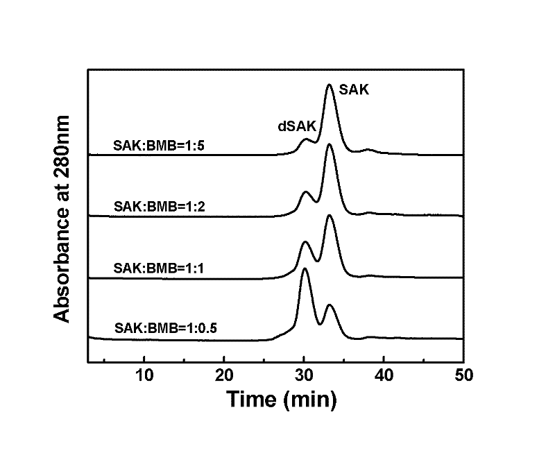 Preparation method of recombinant staphylokinase dimer and site-specific modificaton of polyethylene glycol