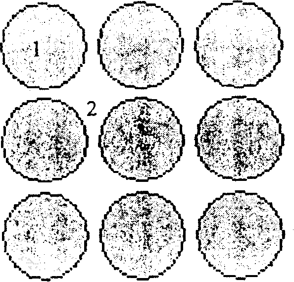 Method for preparing LED chip with separate crystal grain vertical structure