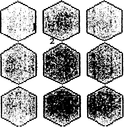 Method for preparing LED chip with separate crystal grain vertical structure