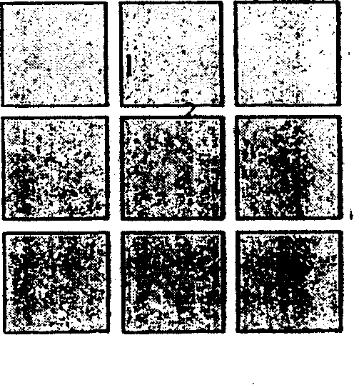 Method for preparing LED chip with separate crystal grain vertical structure