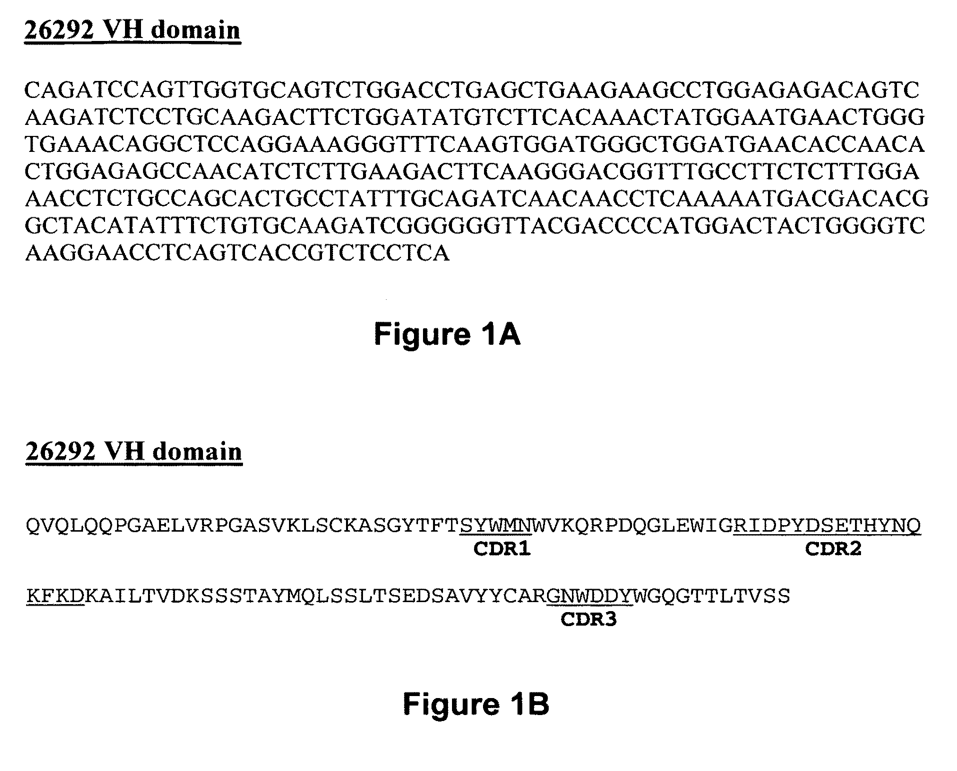 IL3R.alpha. antibody conjugates and uses thereof