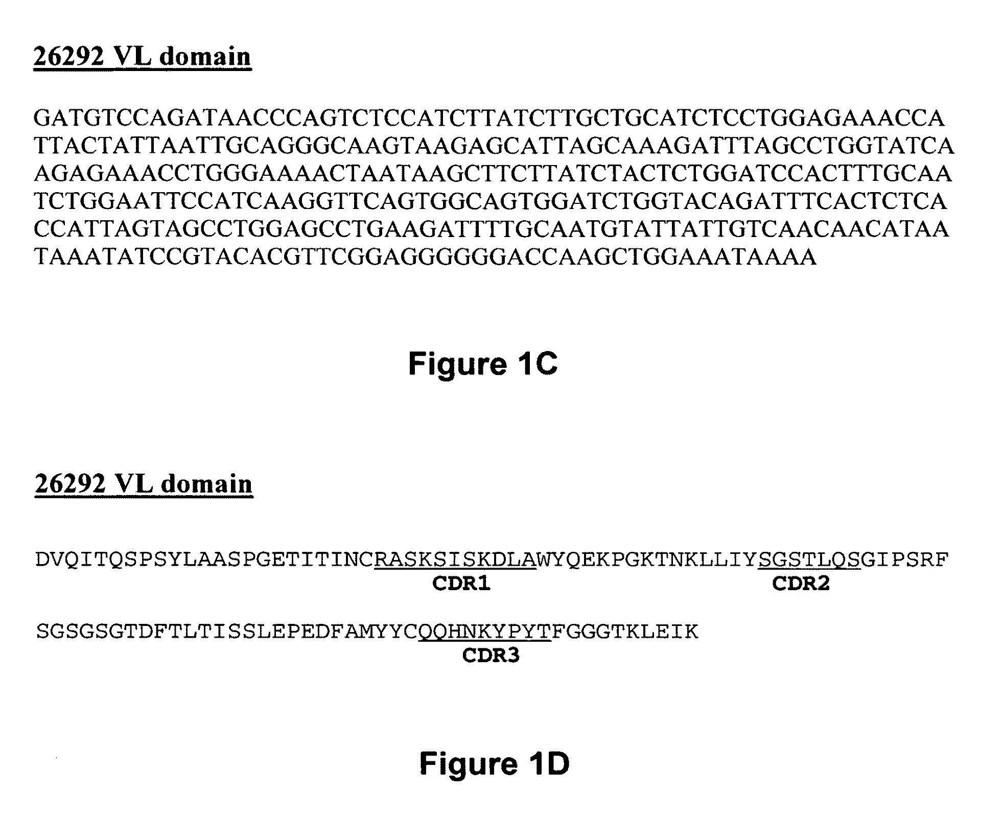 IL3R.alpha. antibody conjugates and uses thereof
