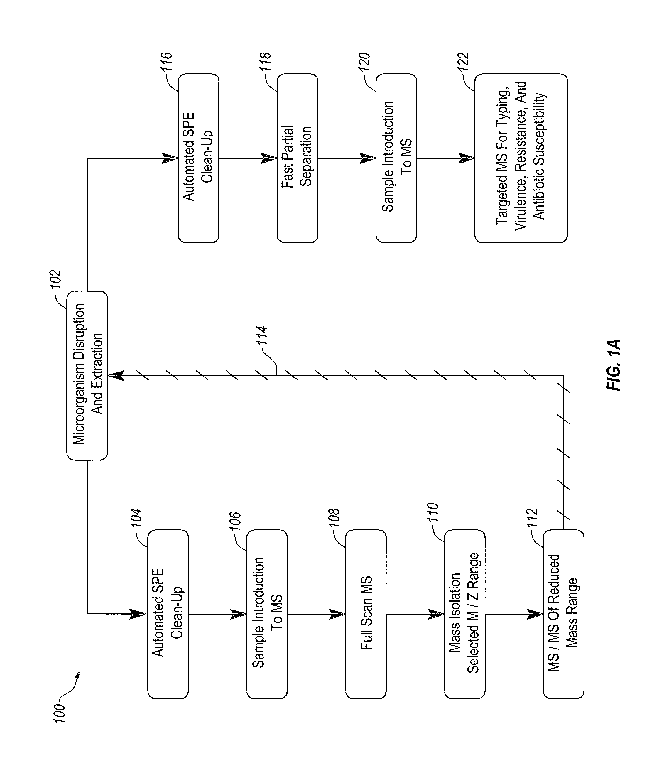Apparatus and methods for microbiological analysis