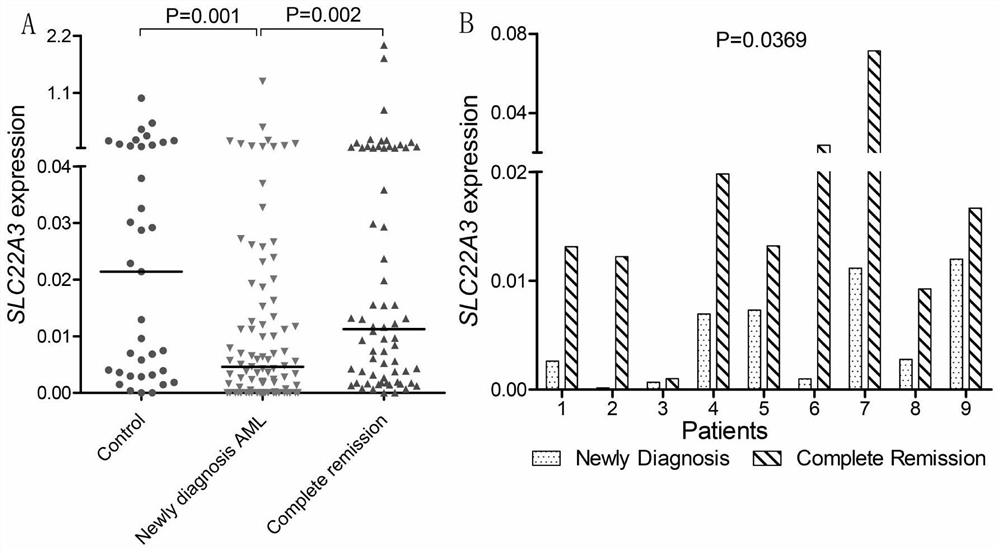 Quantitative detection method and application of molecular marker slc22a3