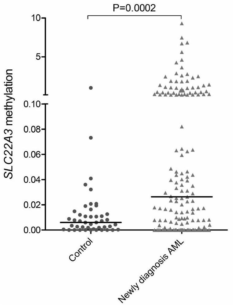 Quantitative detection method and application of molecular marker slc22a3