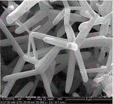 Method for quick synthesis of zinc oxide whiskers by means of microwaves