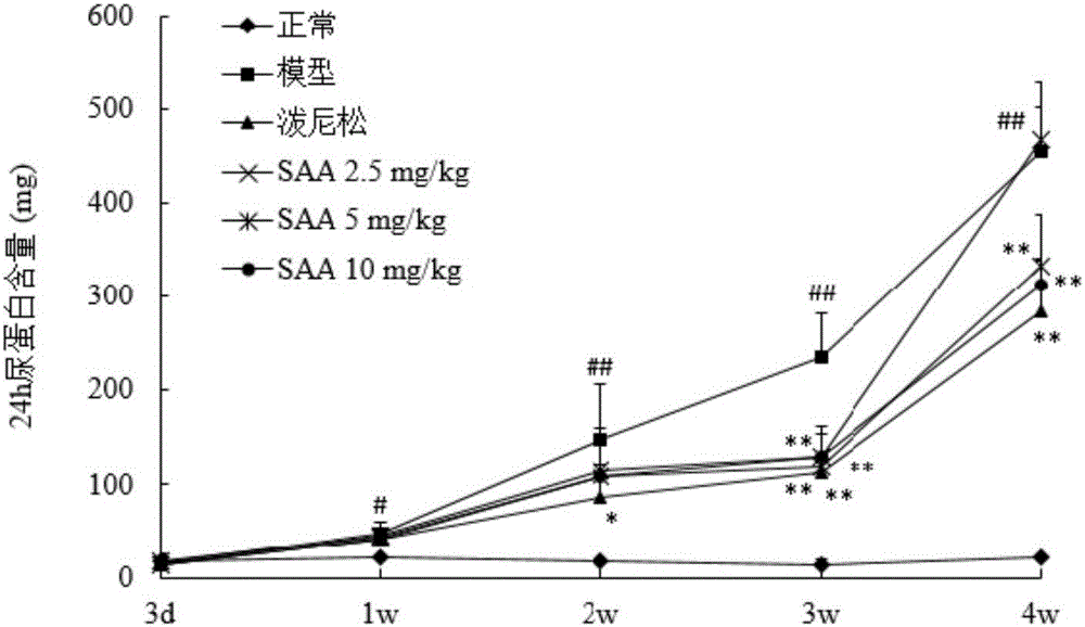 Application of salvianolic acid A in independent-medicine or multiple-medicine-combined nephrotic syndrome treatment