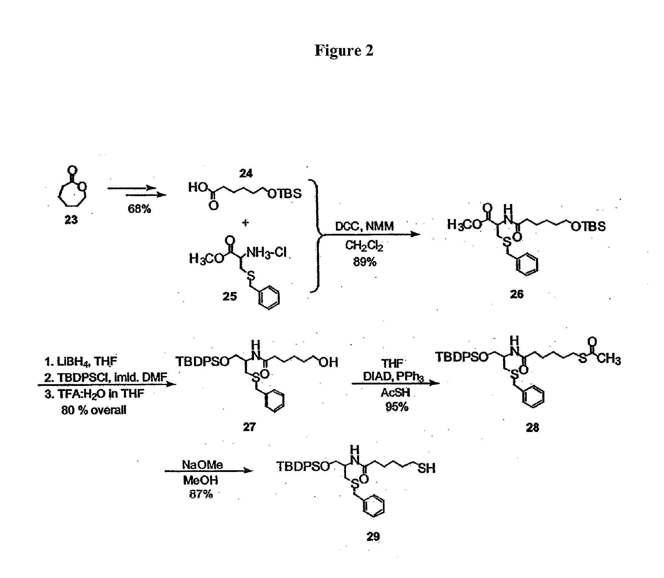 FK228 analogs and methods of making and using the same