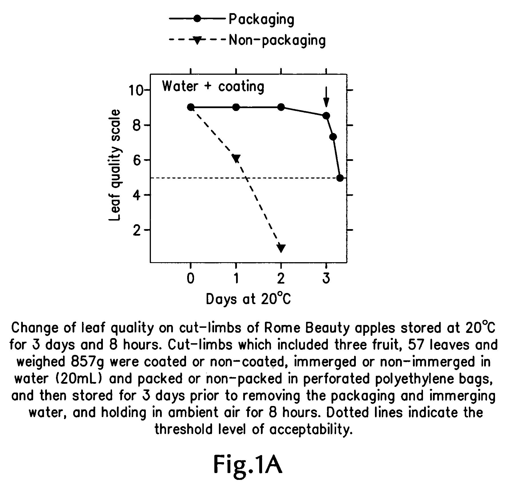 Perishable-fruit-bearing cut-limb preservation and distribution method, coating and shipping container therefor