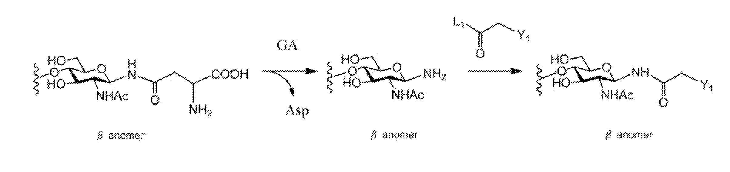 A method for producing activated sugar chain derivative and activated sugar chain derivative produced therefrom