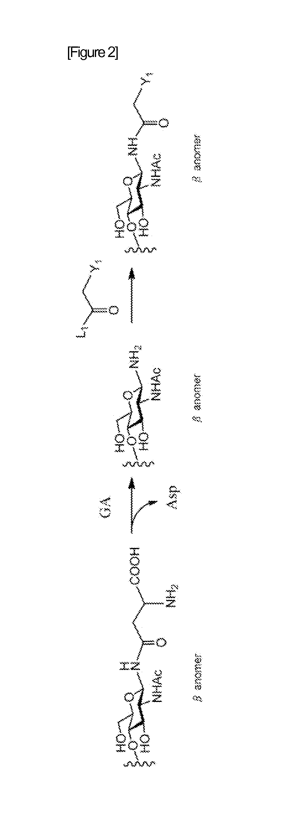 A method for producing activated sugar chain derivative and activated sugar chain derivative produced therefrom