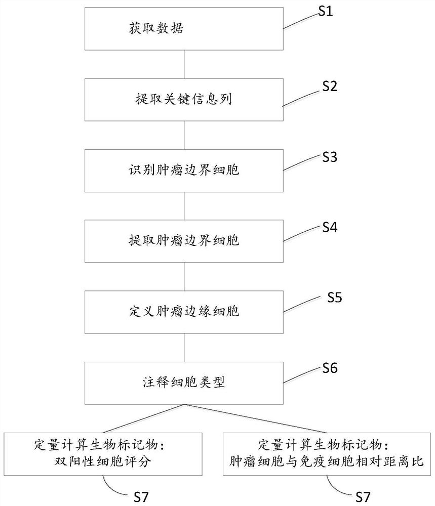 A biomarker analysis method based on multiple immunohistochemical techniques and its application