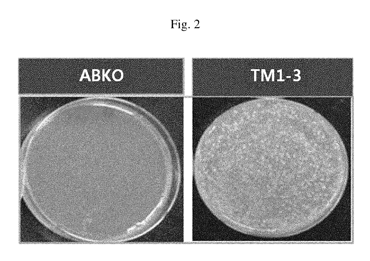 Microorganism capable of simultaneous co-fermentation of mixed sugars and production method of butanol using the same