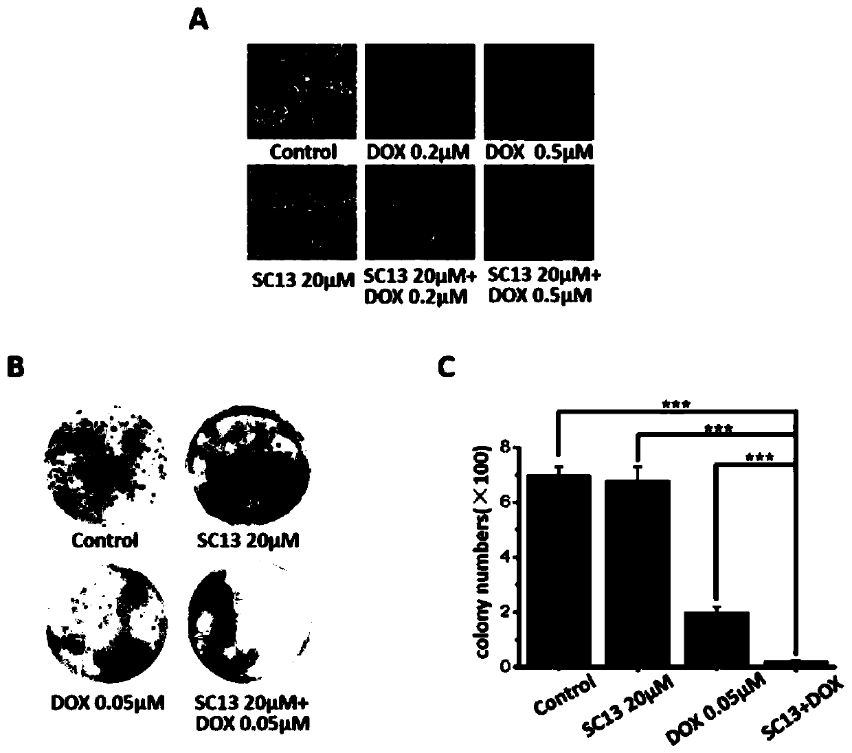 Combined doxorubicin medicine and application thereof