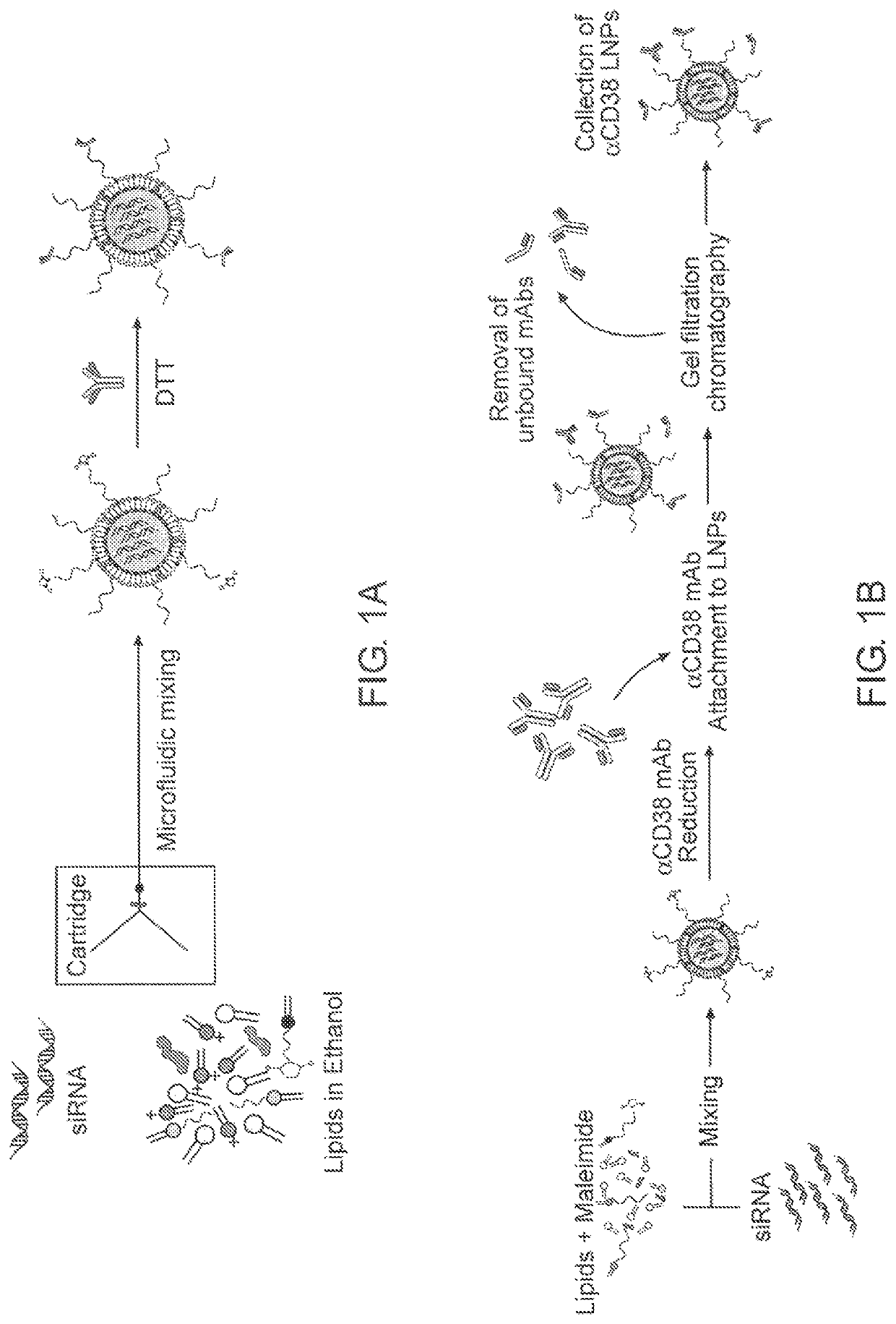 Targeted lipid particles for systemic delivery of nucleic acid molecules to leukocytes