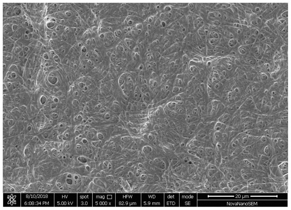 A kind of fibrous mesh lithium-sulfur battery modified diaphragm and its preparation method and application