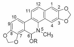 Sanguinarine alcoholate and chelerythrine alcoholate and preparation method and application thereof in animal acaricidal drugs
